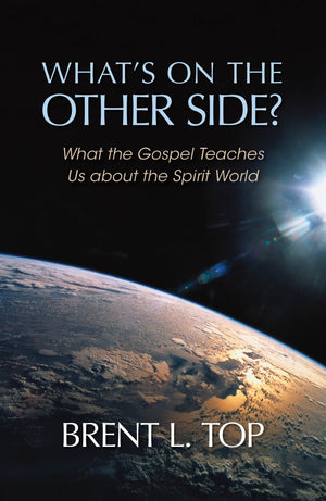 What'S On The Other Side?  What The Gospel Teaches Us About The Spirit World