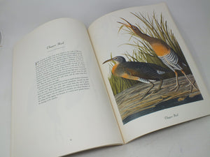 50 Audubon Birds Of America: From The Original Double Elephant Folio,Used