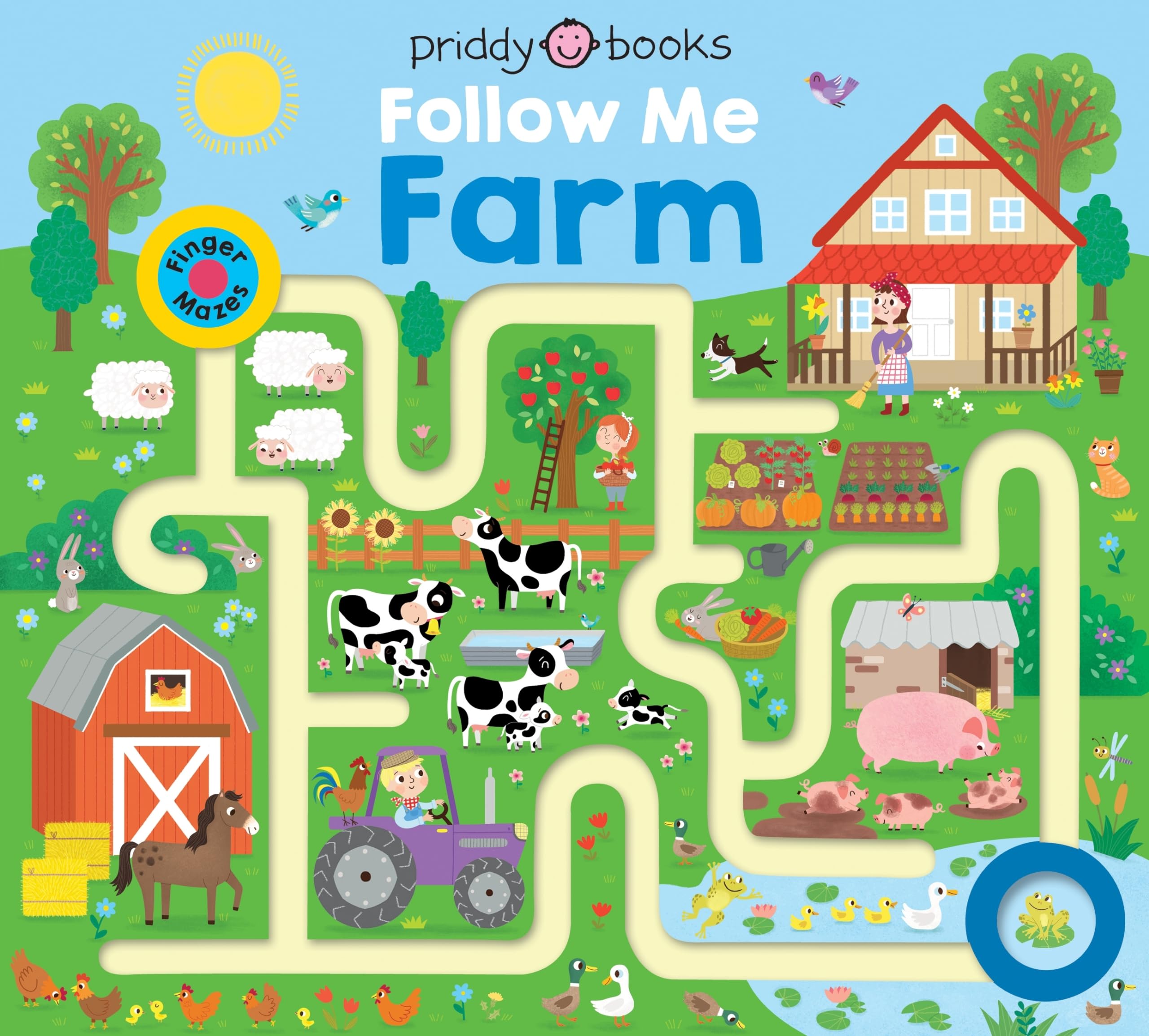 Maze Book: Follow Me Farm (Finger Mazes, 1),Used