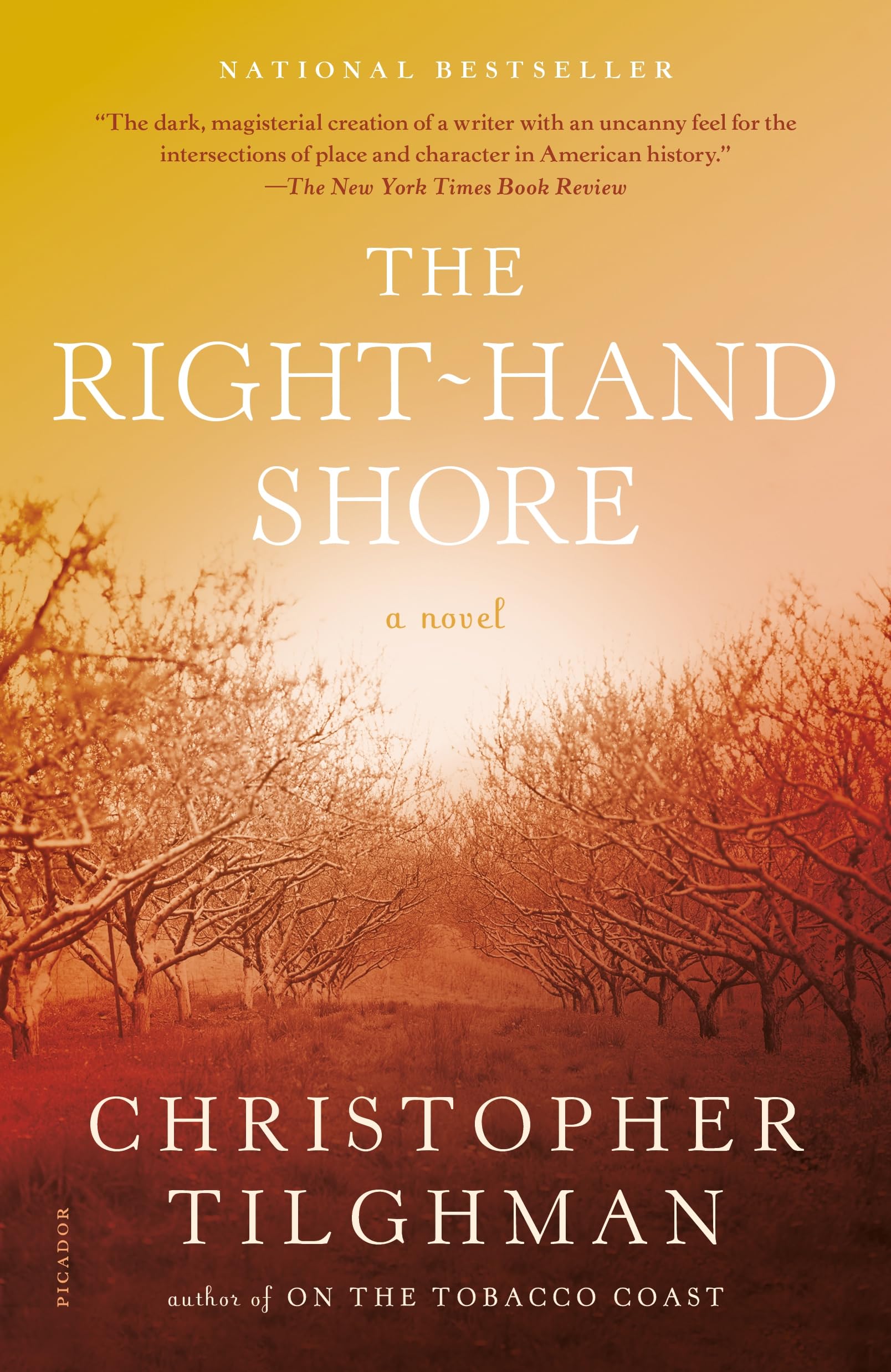 The RightHand Shore: A Novel,Used
