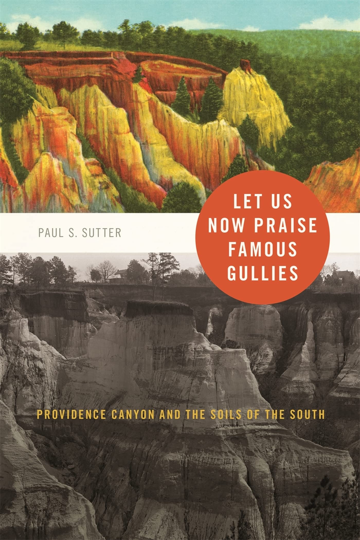 Let Us Now Praise Famous Gullies: Providence Canyon And The Soils Of The South (Environmental History And The American South Ser
