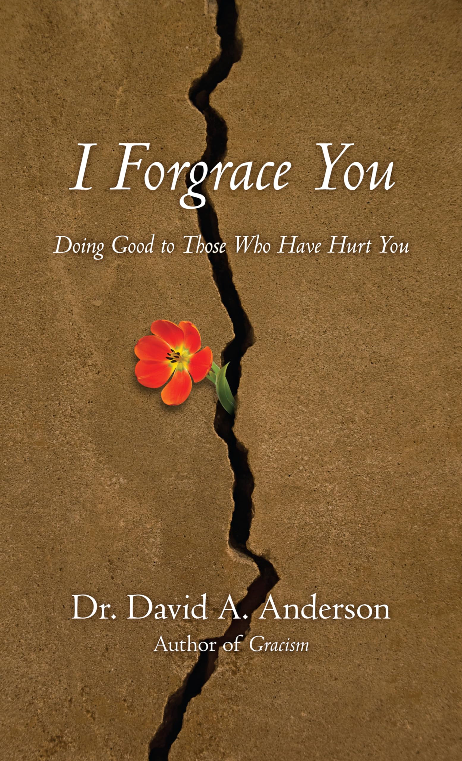 I Forgrace You: Doing Good To Those Who Have Hurt You (Bridgeleader Books),New