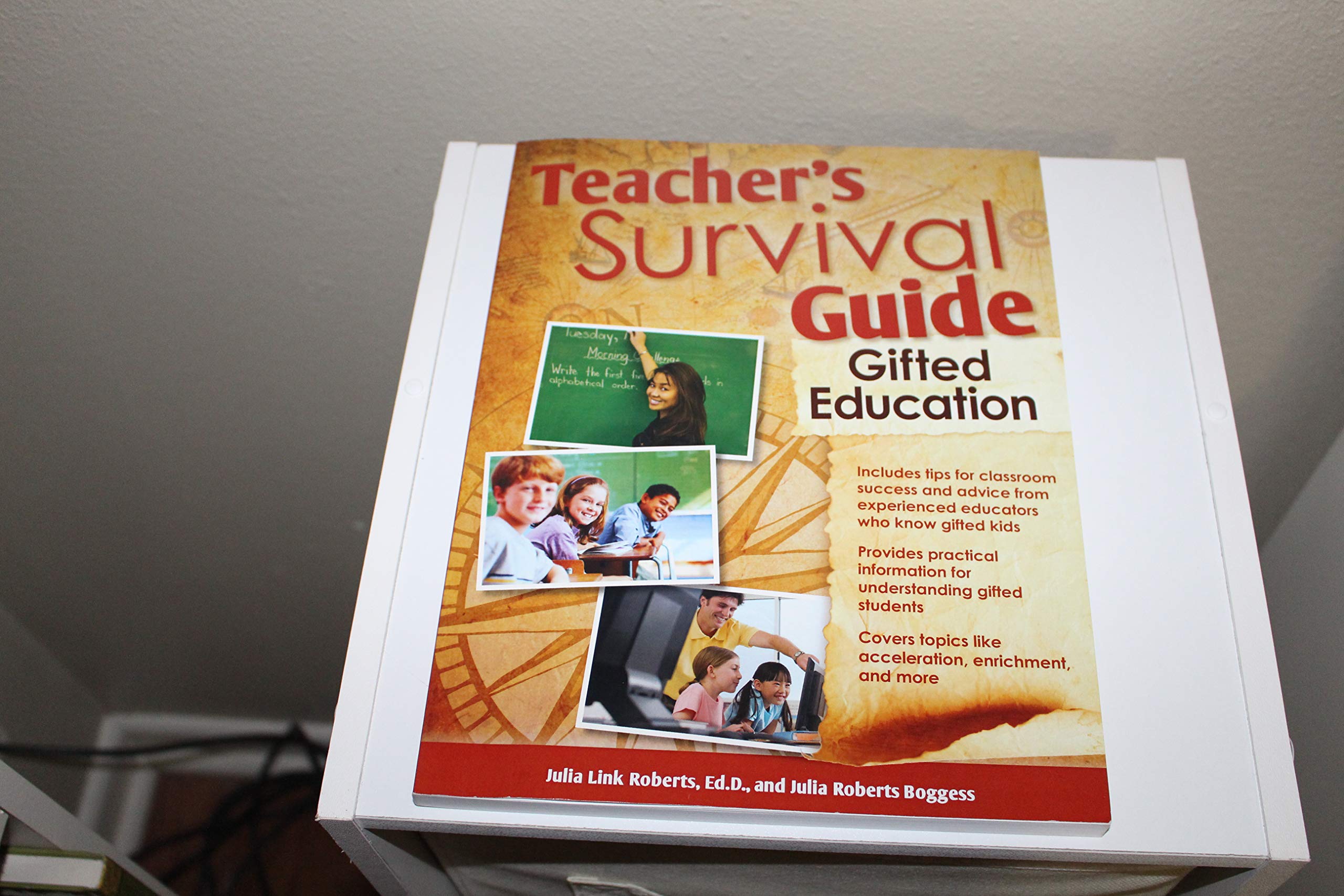 Teacher's Survival Guide: Gifted Education,New