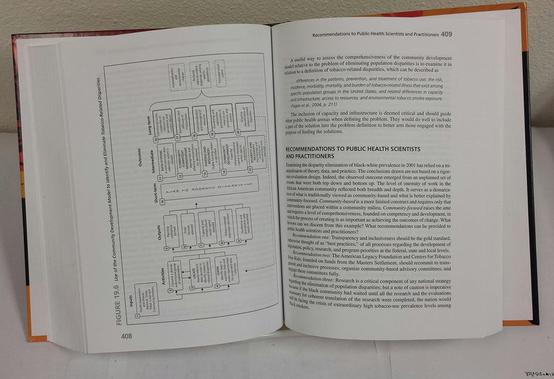 Health Issues Black Community 3E
