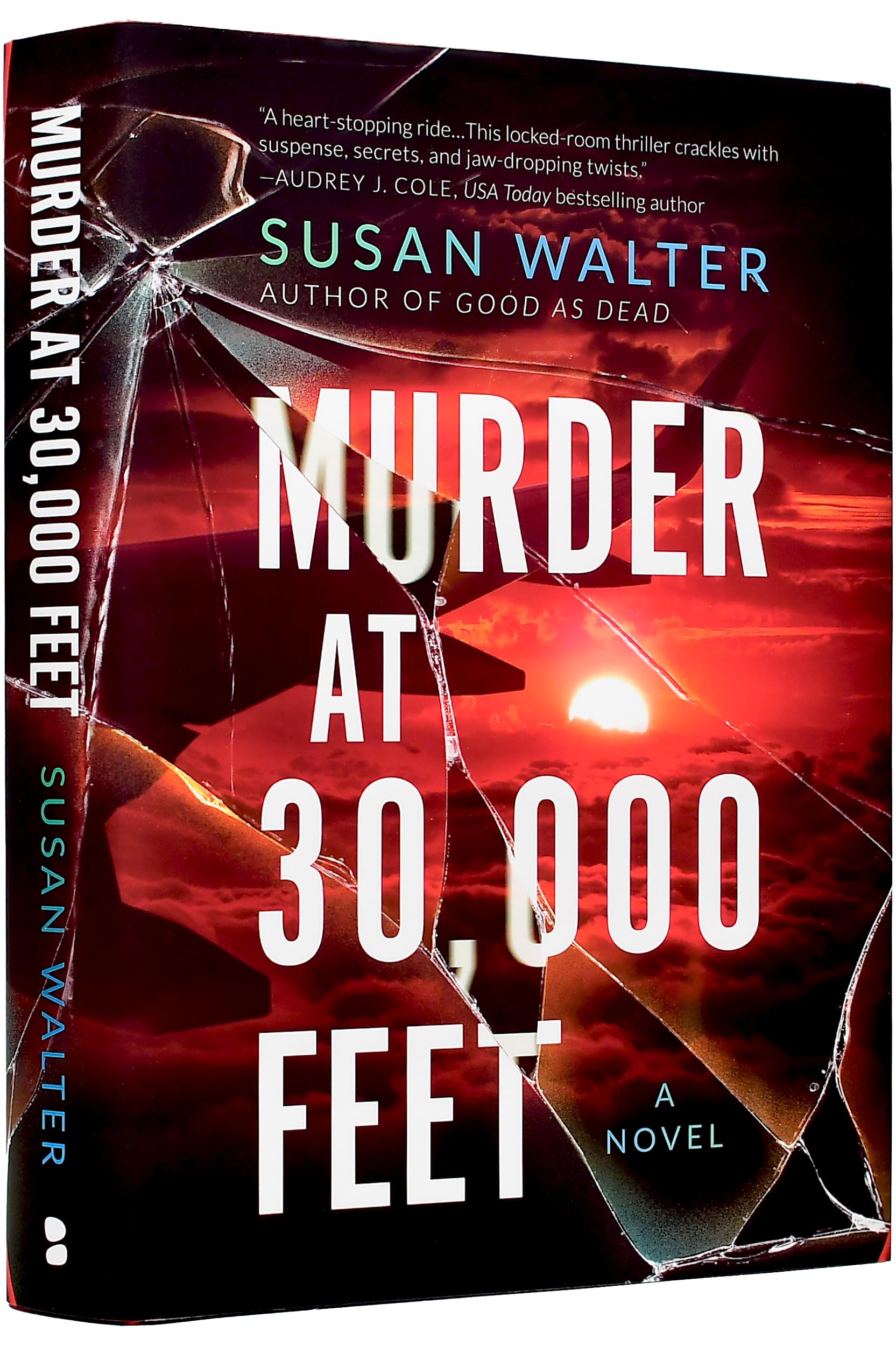 Murder At 30,000 Feet