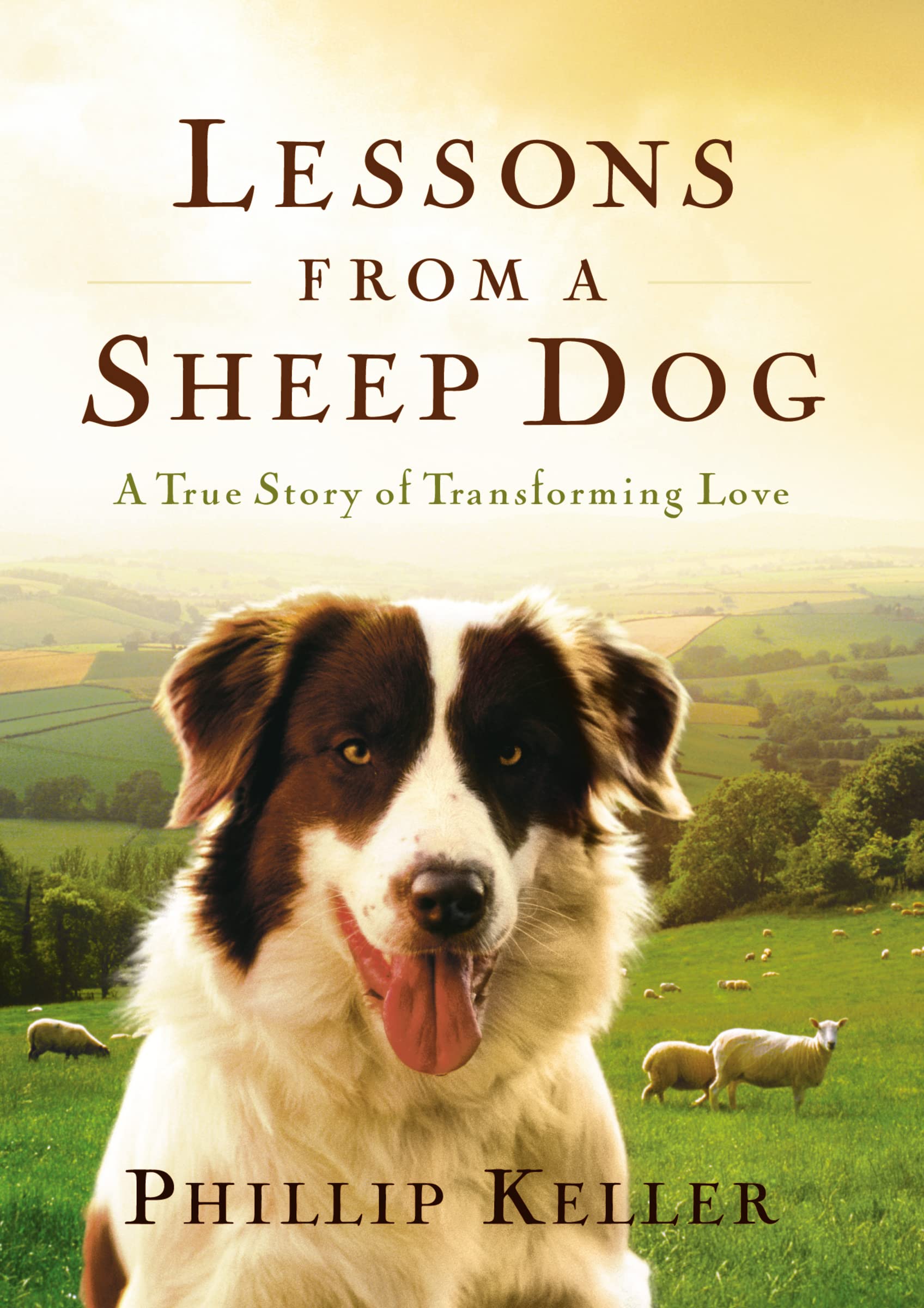 Lessons From A Sheep Dog: A True Story Of Transforming Love,New