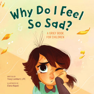 Why Do I Feel So Sad?: A Grief Book for Children,Used