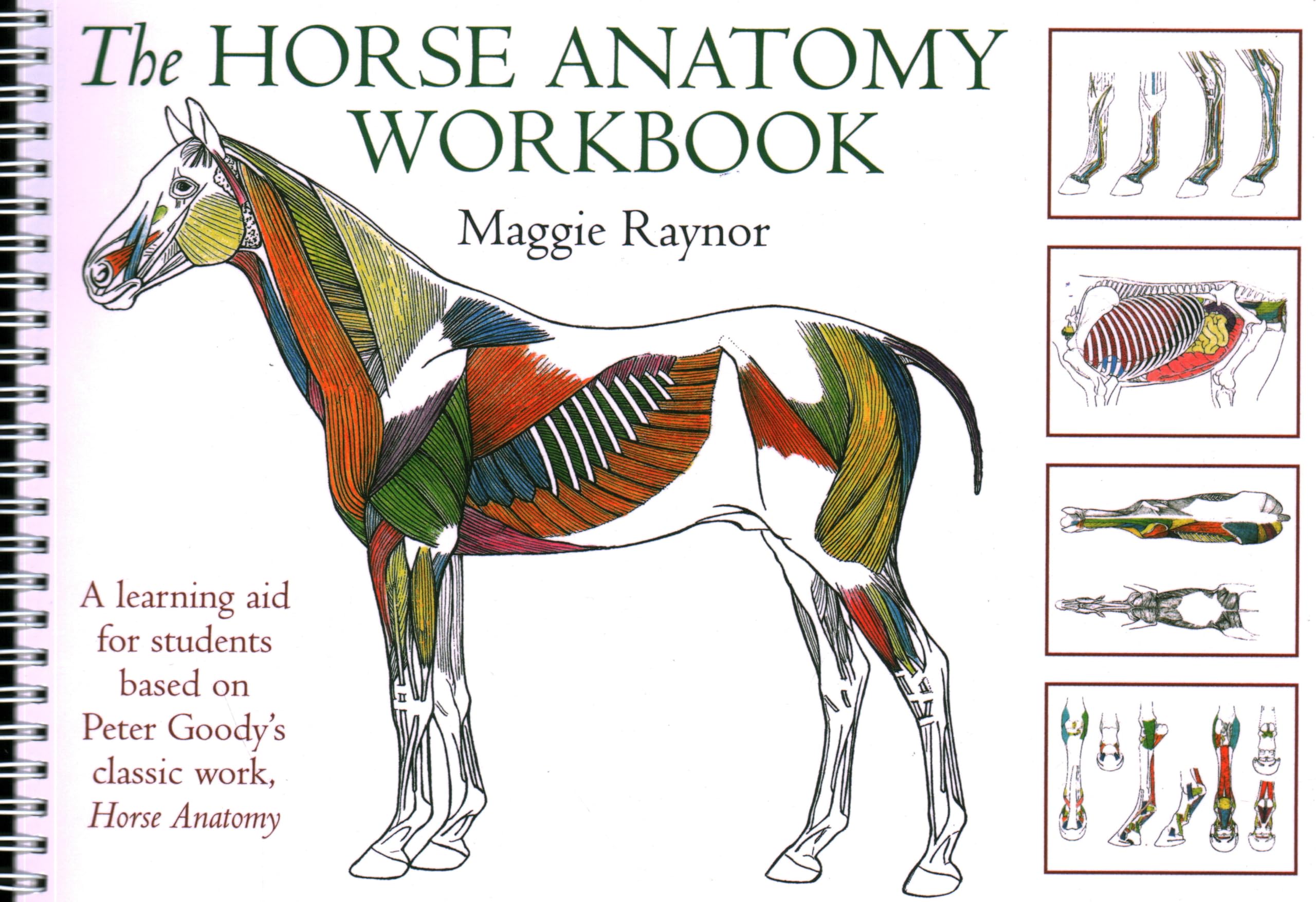 Horse Anatomy Workbook: A Learning Aid for Students Based on Peter Goody s Classic Work, Horse Anatomy