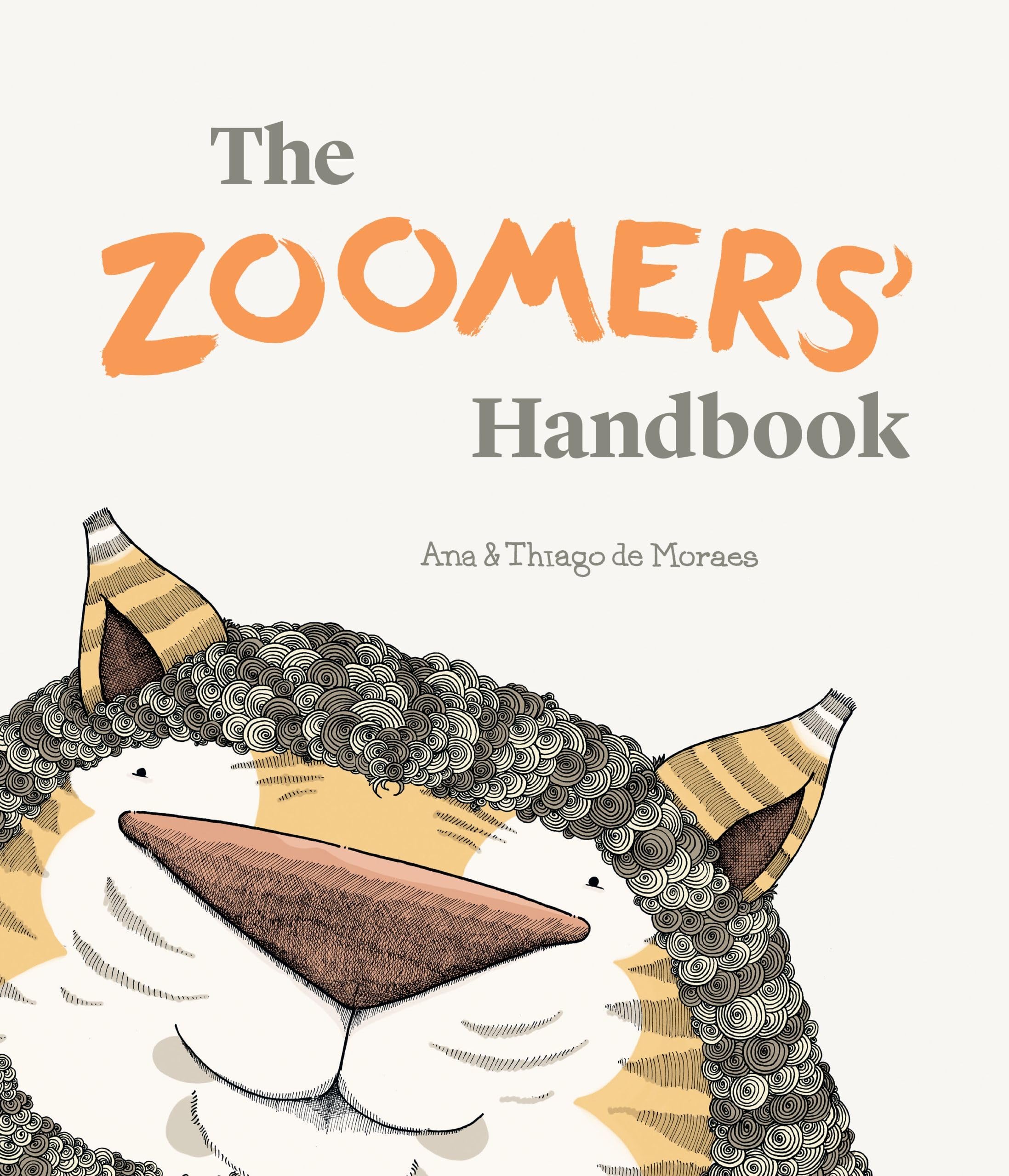 The Zoomers' Handbook,Used
