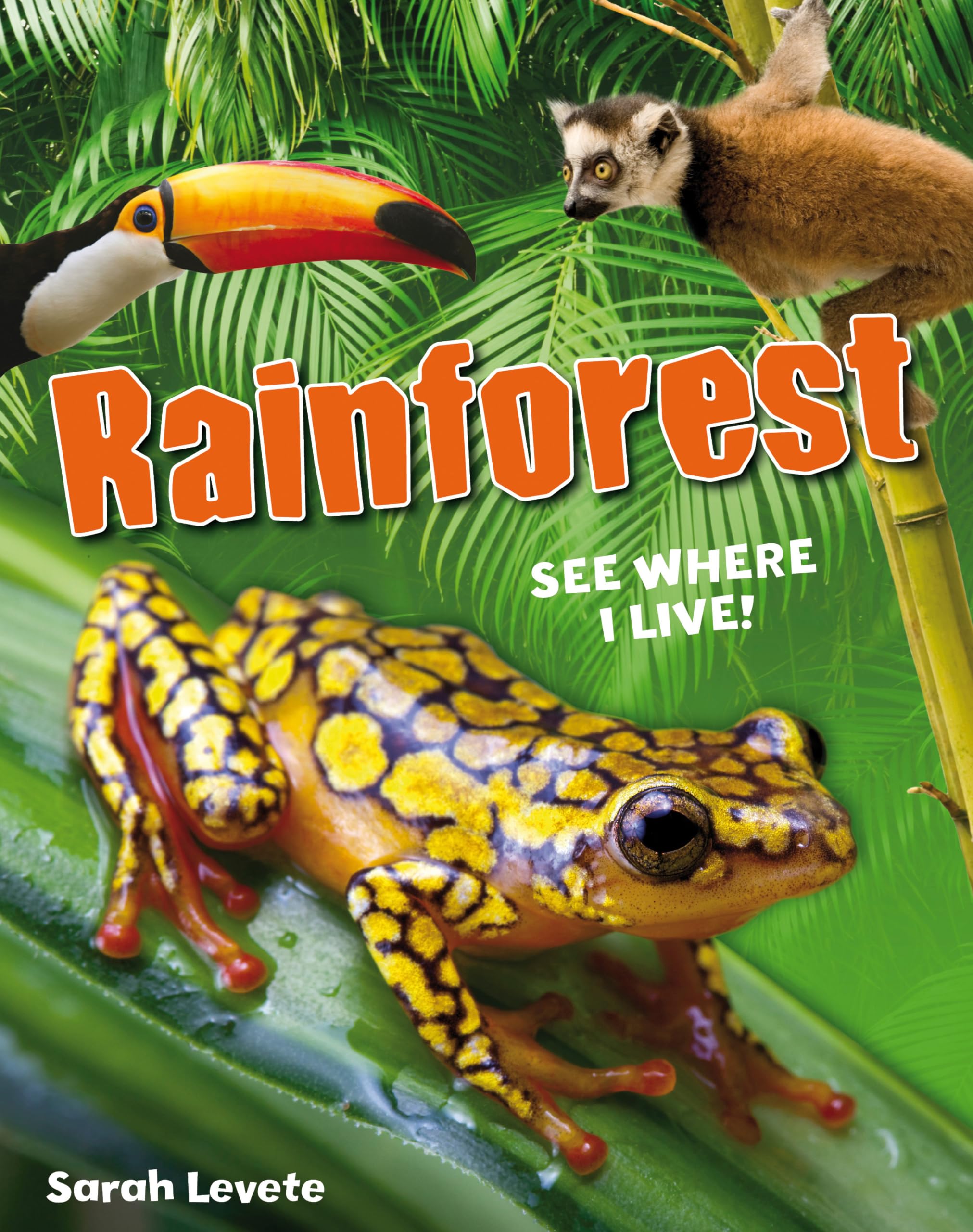 Rainforest: See Where I Live!,Used