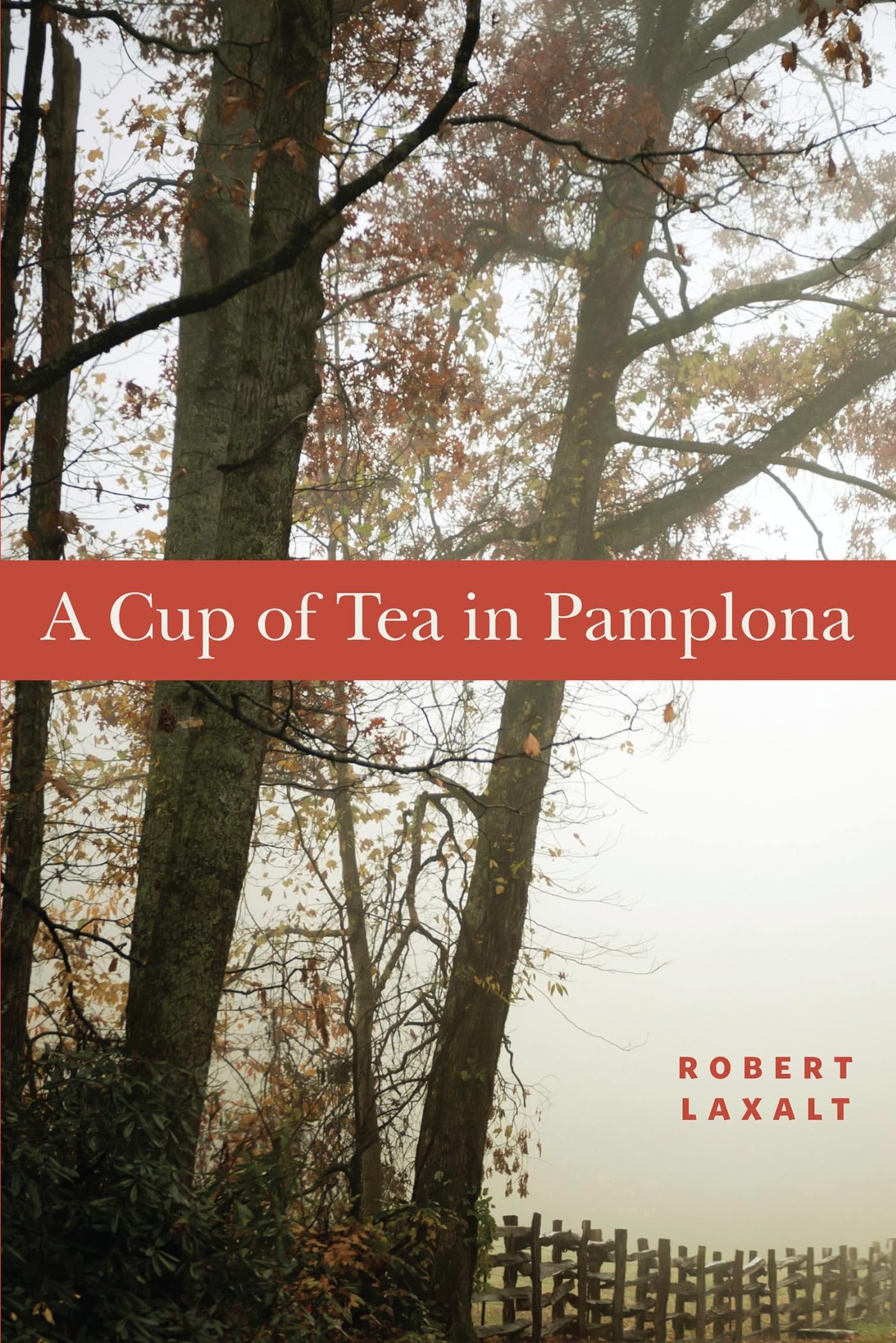A Cup of Tea in Pamplona (The Basque Series),Used