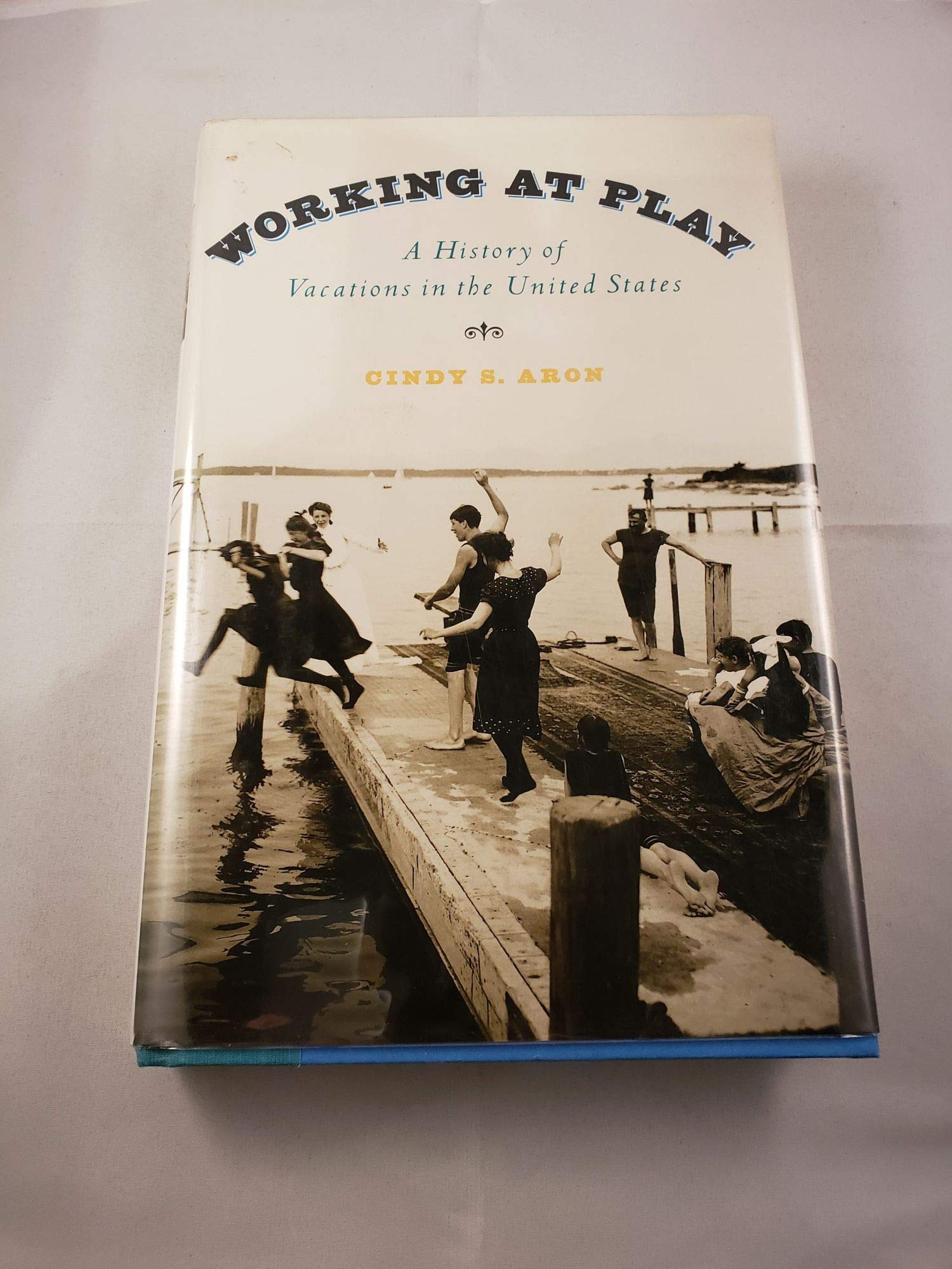 Working At Play: A History of Vacations in the United States,Used