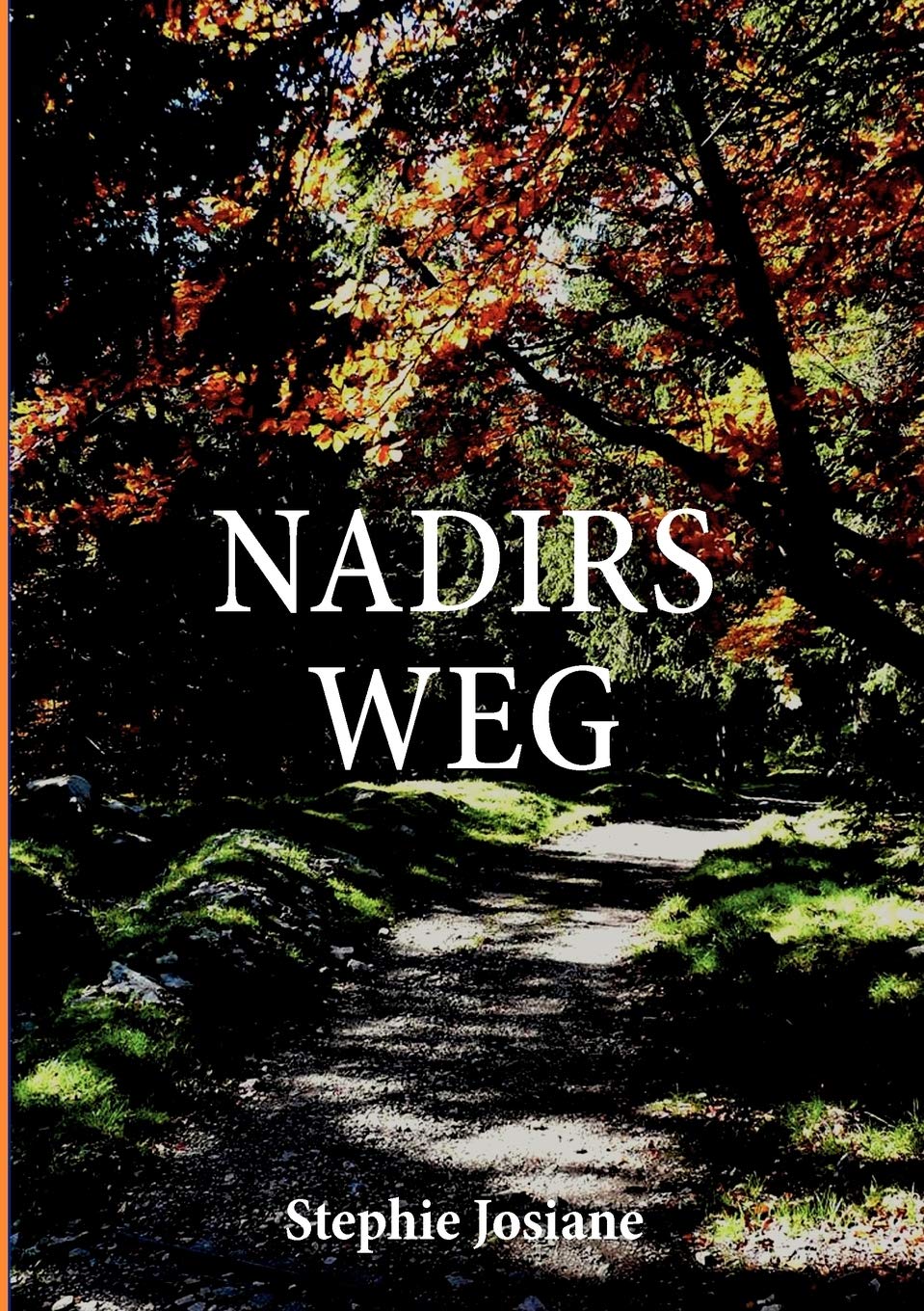 Nadirs Weg (German Edition),Used