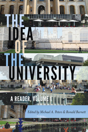The Idea of the University (Global Studies in Education),Used