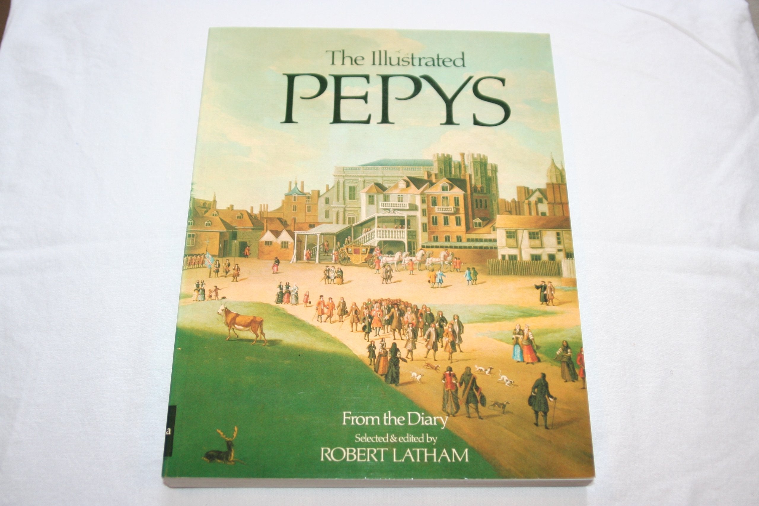 The Illustrated Pepys: Extracts From the Diary,Used