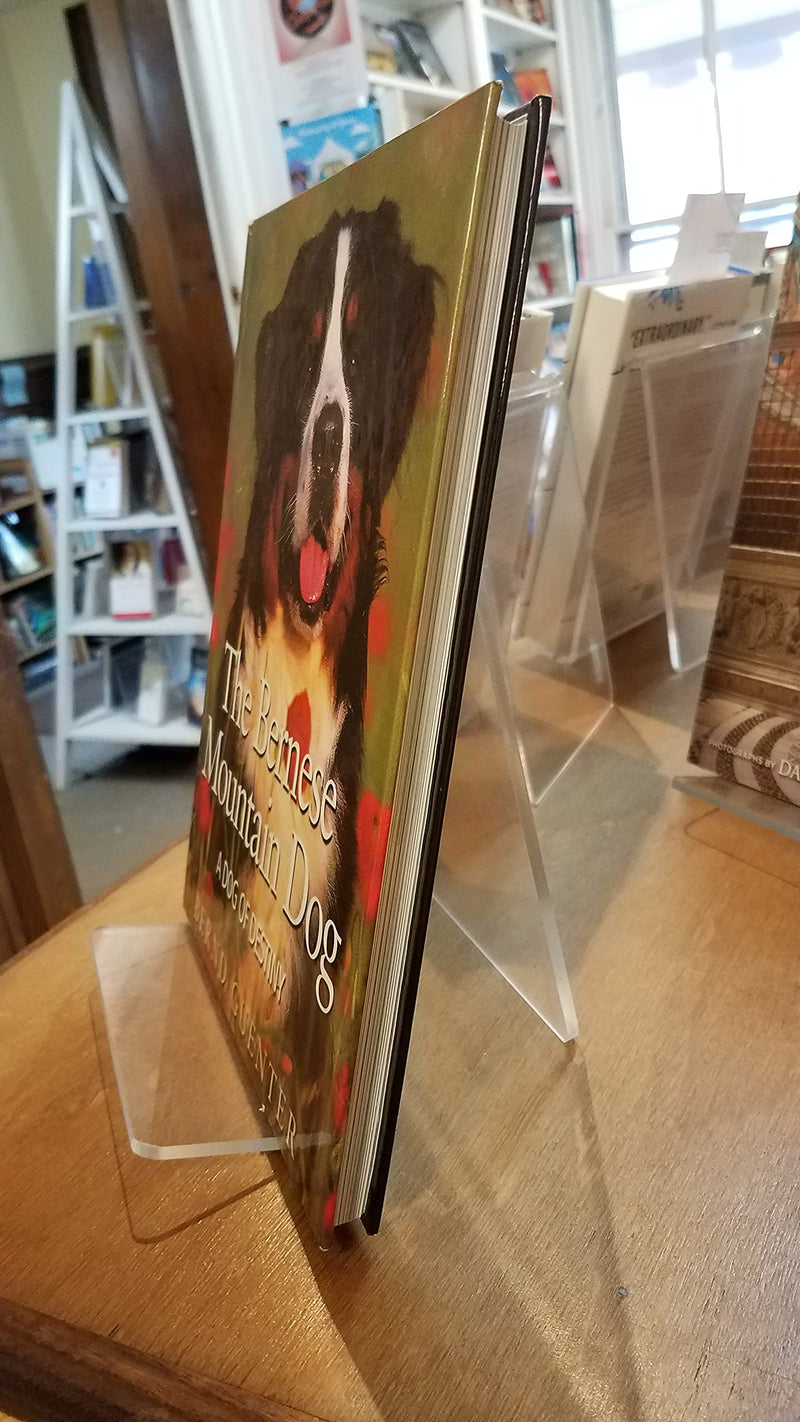 The Bernese Mountain Dog: A Dog of Destiny,Used