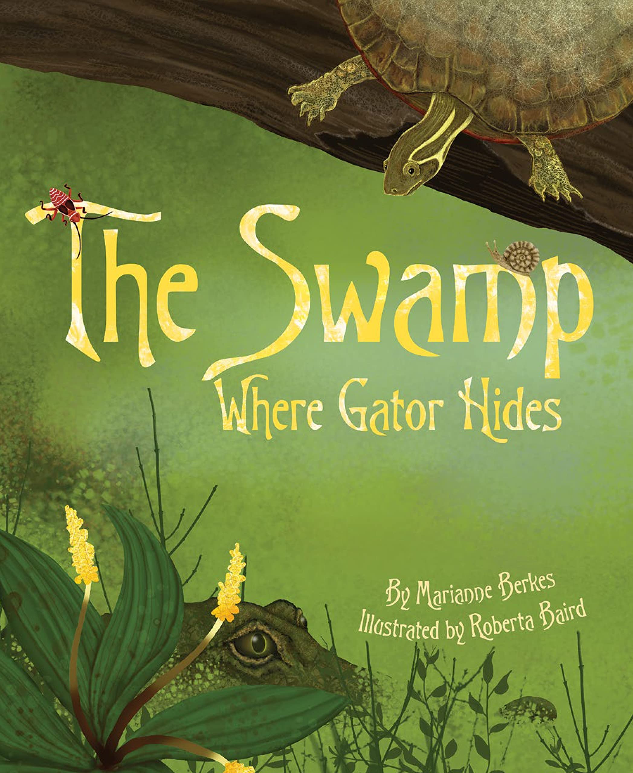 The Swamp Where Gator Hides,Used
