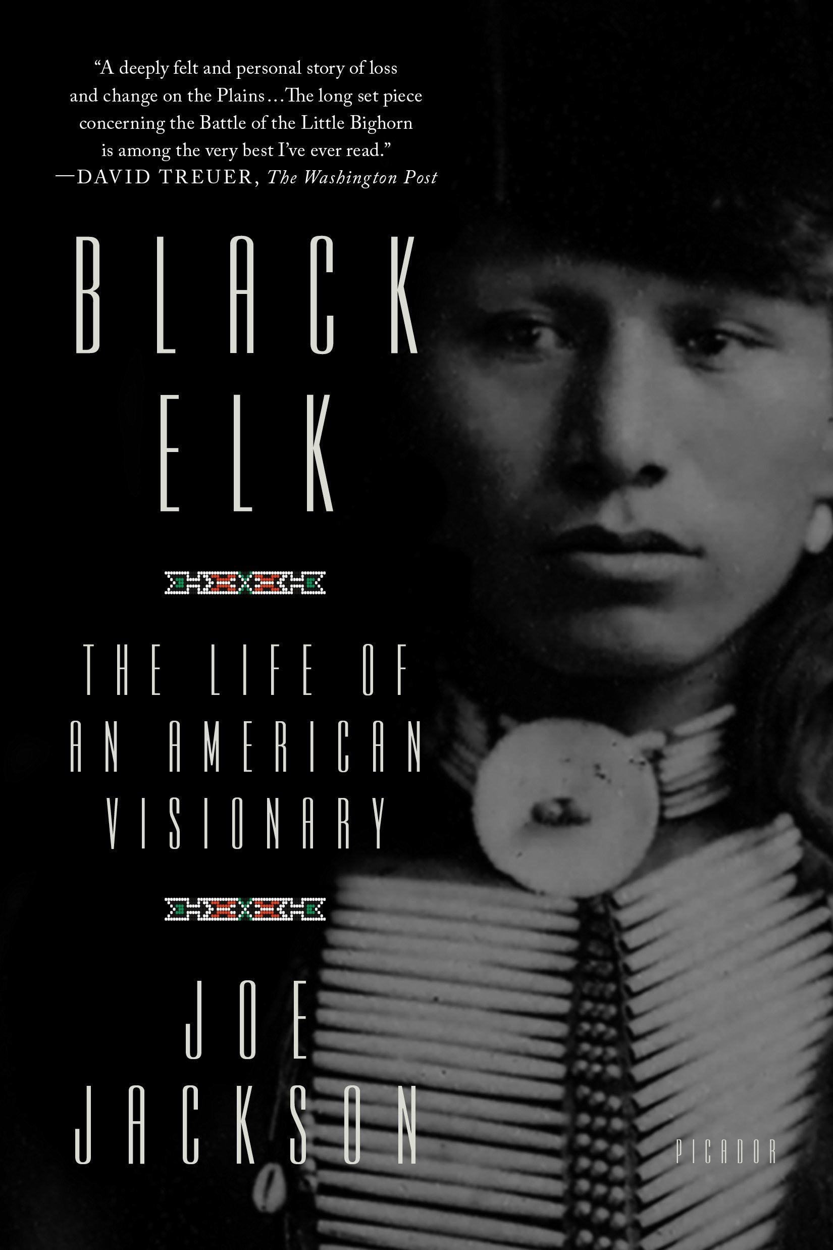 Black Elk: The Life of an American Visionary,New