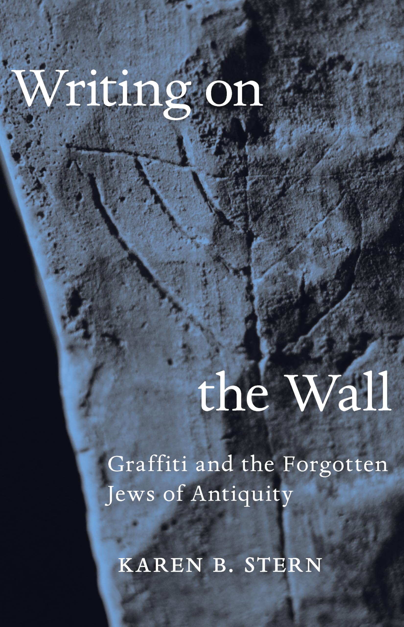 Writing on the Wall: Graffiti and the Forgotten Jews of Antiquity,Used
