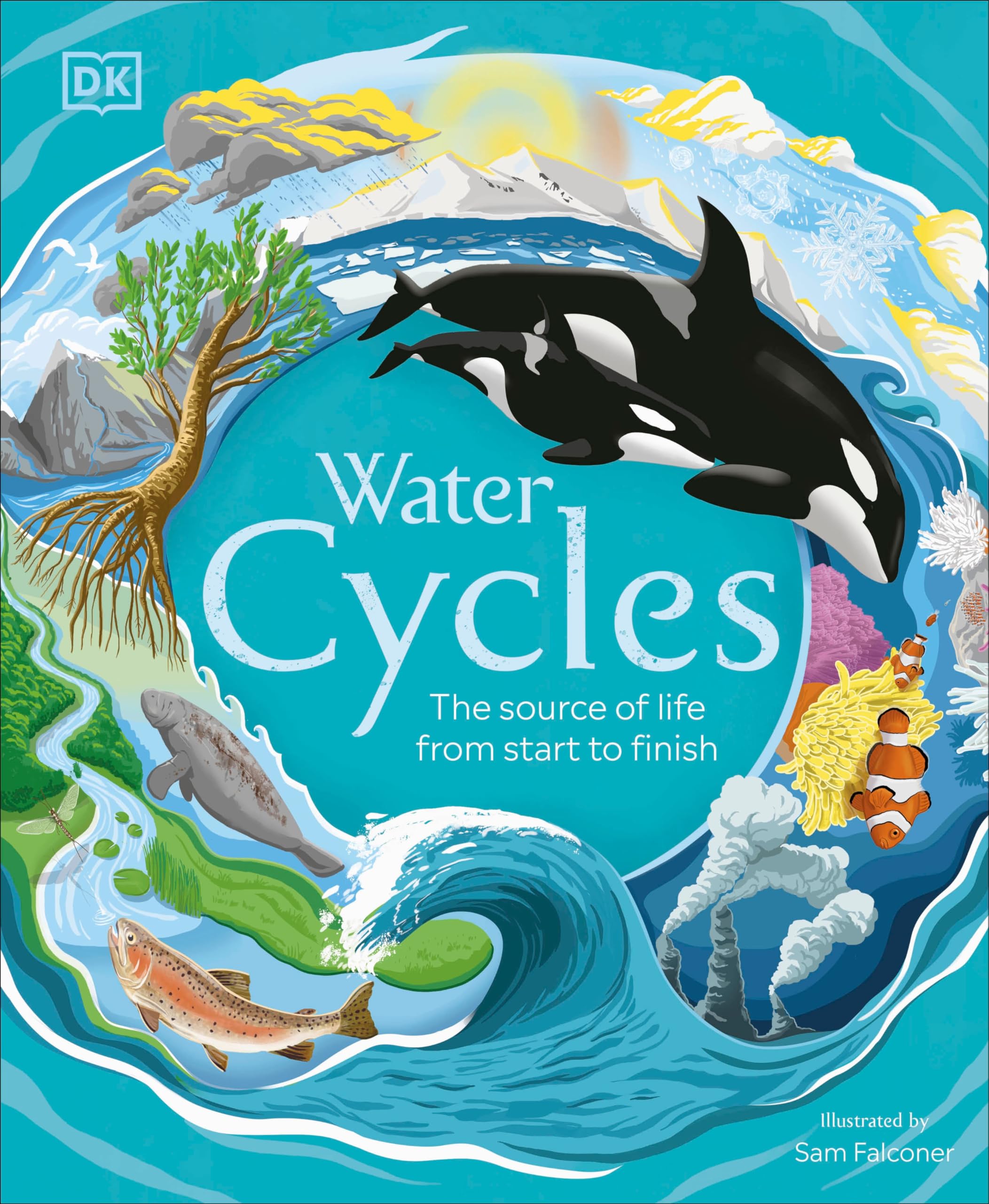Water Cycles (Dk Life Cycles),New