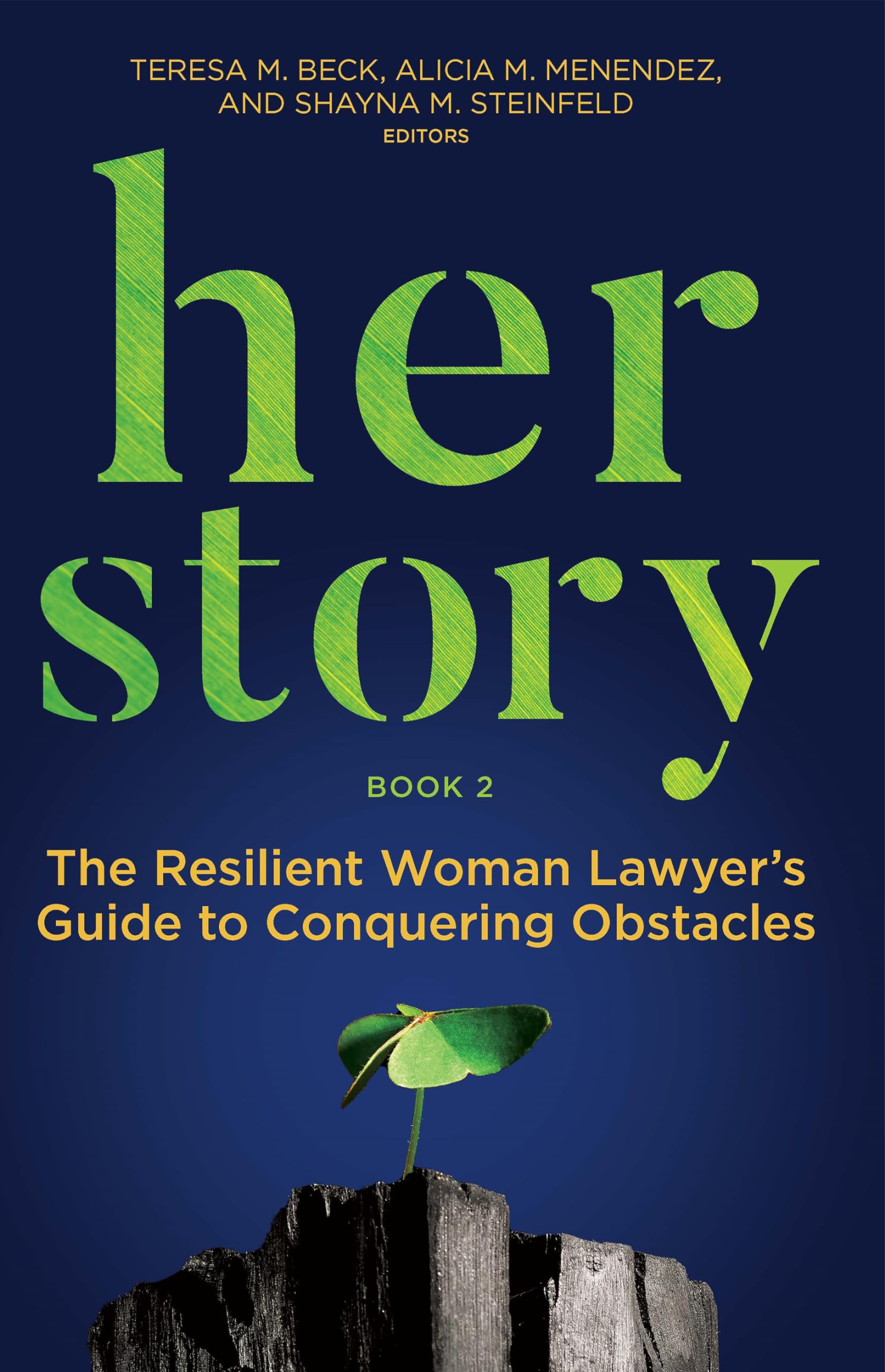 Her Story: The Resilient Woman Lawyer's Guide to Conquering Obstacles, Book 2,Used