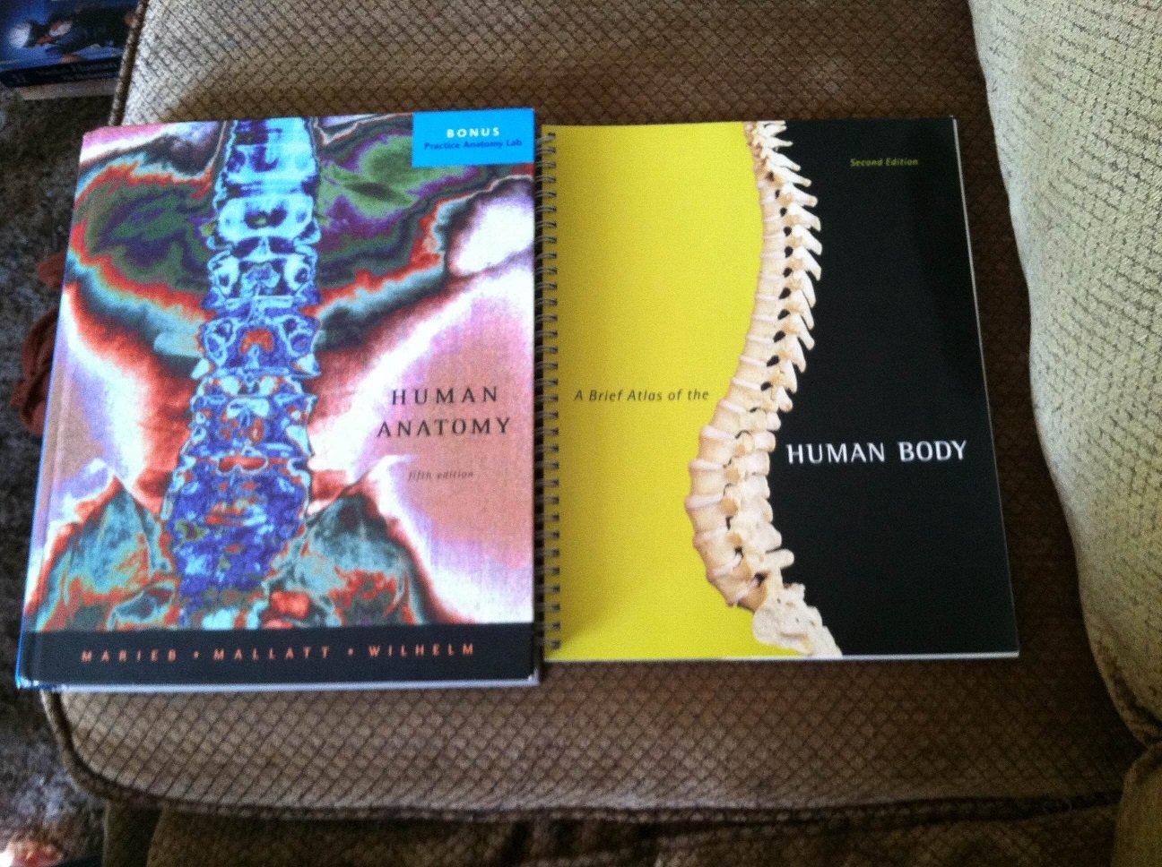 Human Anatomy,New