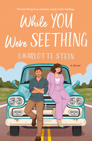 While You Were Seething: A Novel