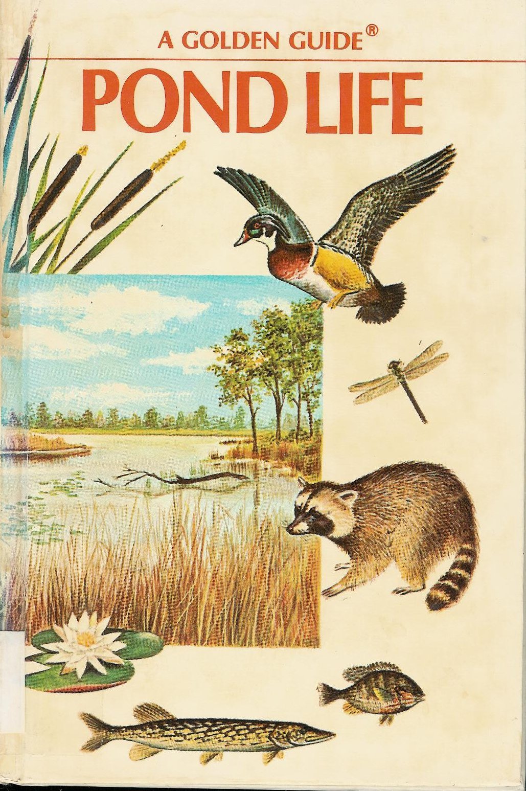 Pond Life (Golden Guides),Used