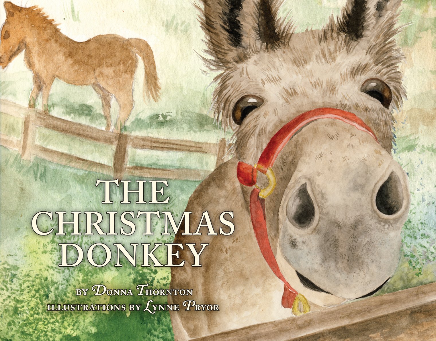 The Christmas Donkey