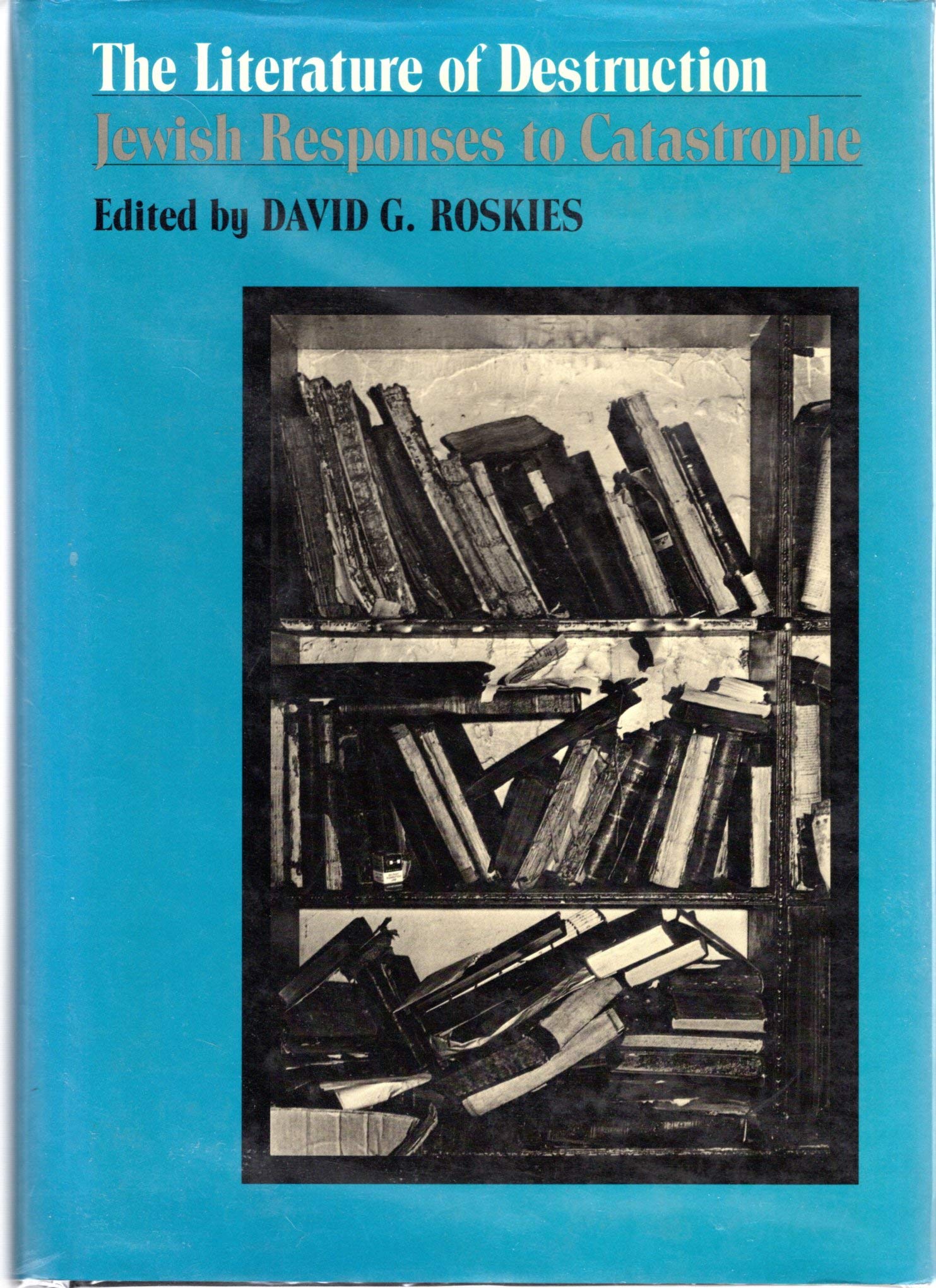 The Literature of Destruction: Jewish Responses to Catastrophe,Used