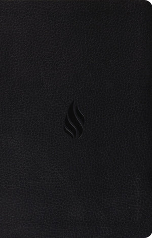 ESV Value Thinline Bible (TruTone, Midnight, Flame Design),Used