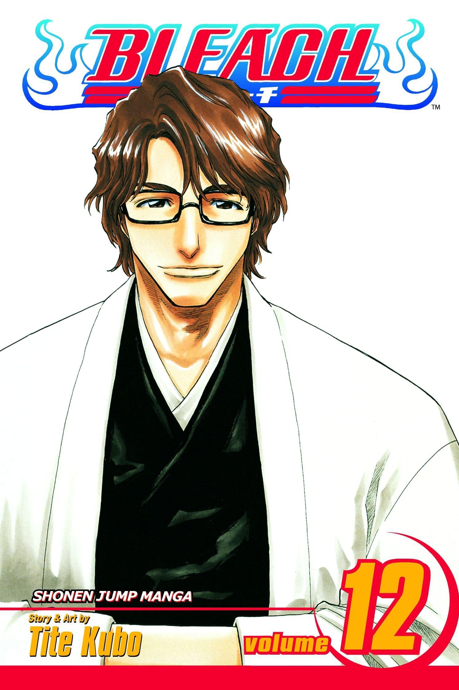 Bleach, Vol. 12,New