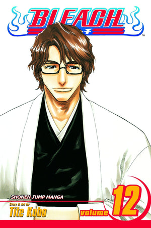 Bleach, Vol. 12,New