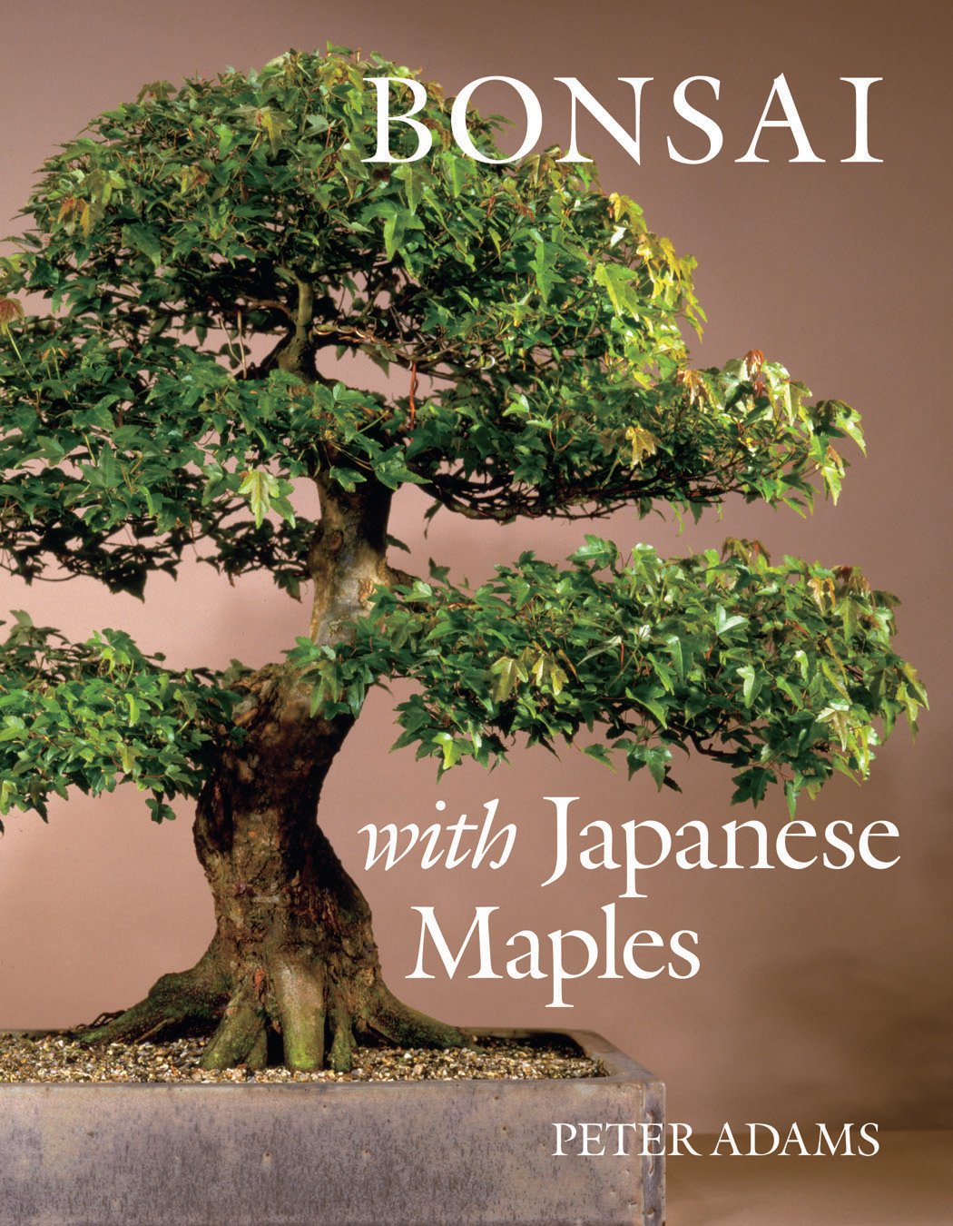 Bonsai with Japanese Maples,New