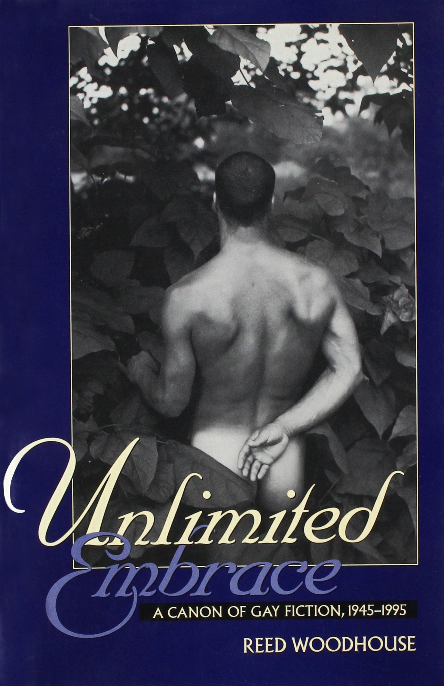 Unlimited Embrace: A Canon of Gay Fiction, 19451995,Used