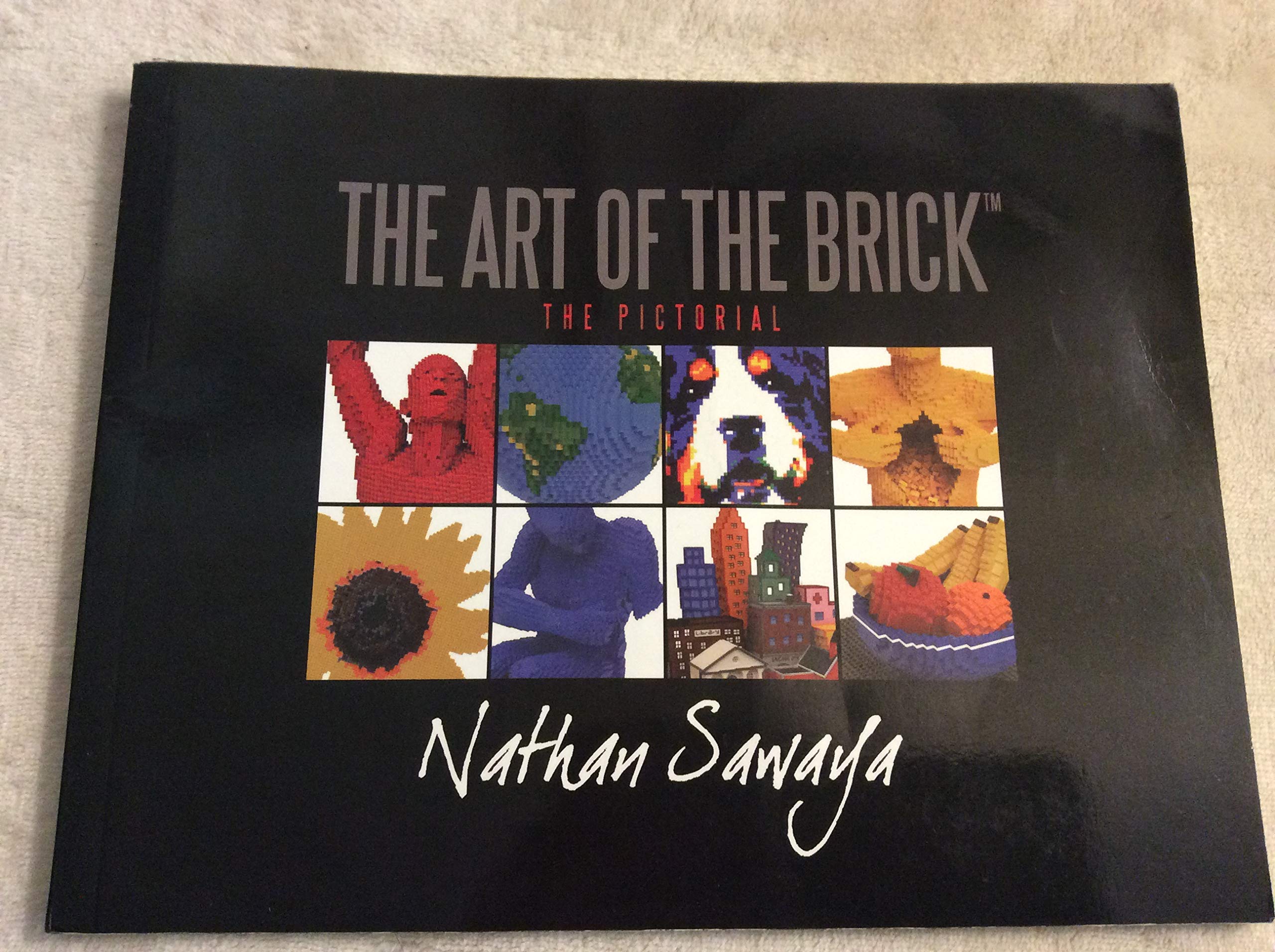 The Art of the Brick: The Pictorial,Used