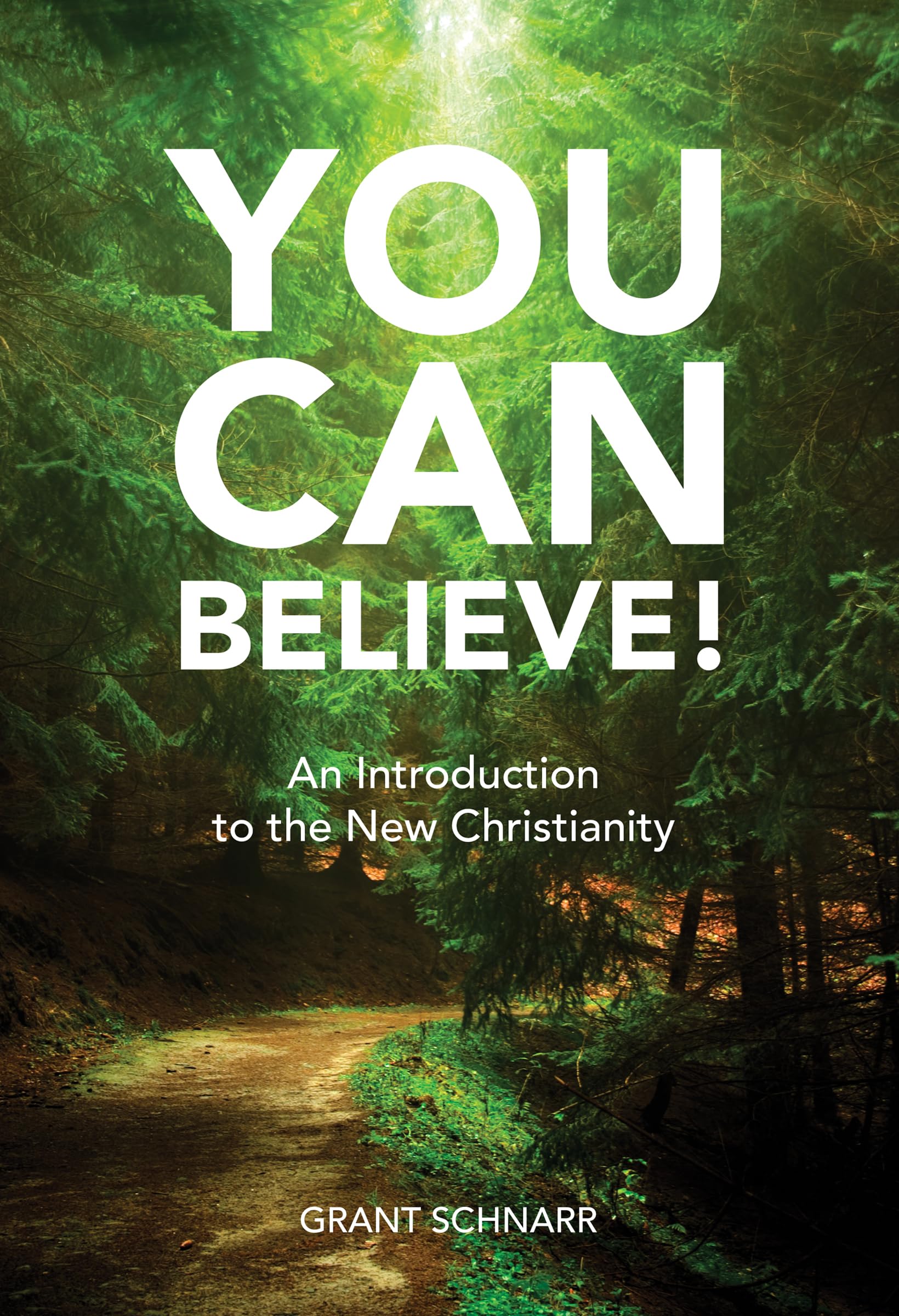 You Can Believe! An Introduction to the New Christianity,Used