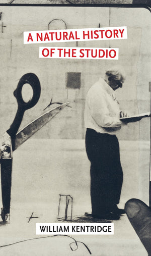 A Natural History Of The Studio