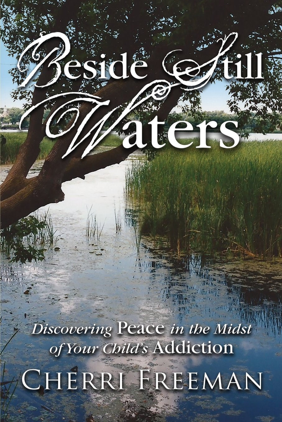 Beside Still Waters: Discovering Peace in the Midst of Your Childs Addiction