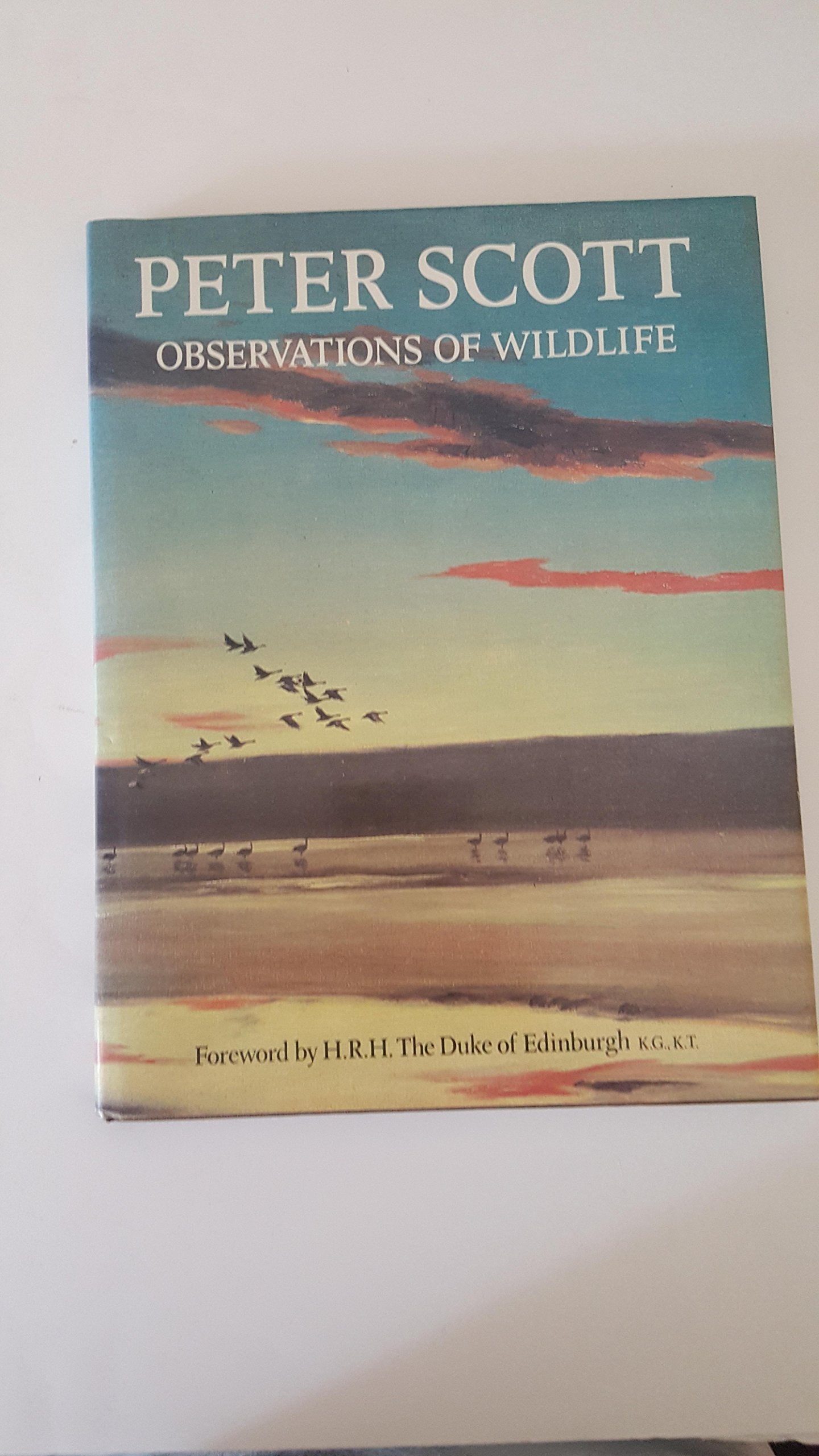 Observations of Wildlife,Used