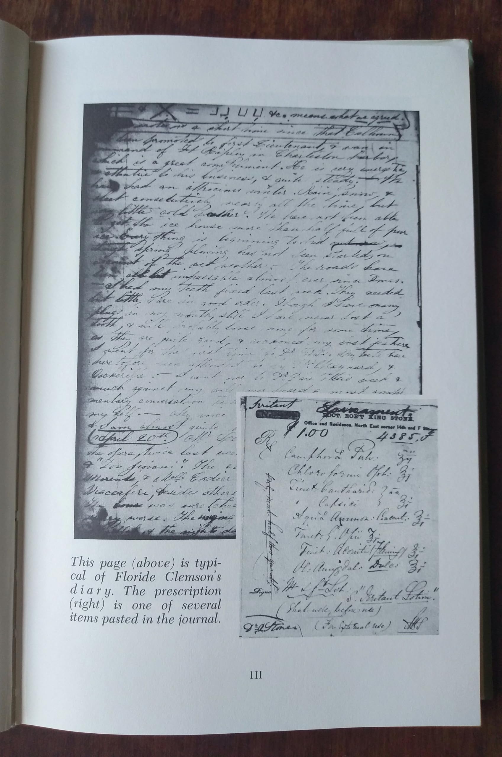 A Rebel Came Home: The Diary and Letters of Floride Clemson, 18631866,Used