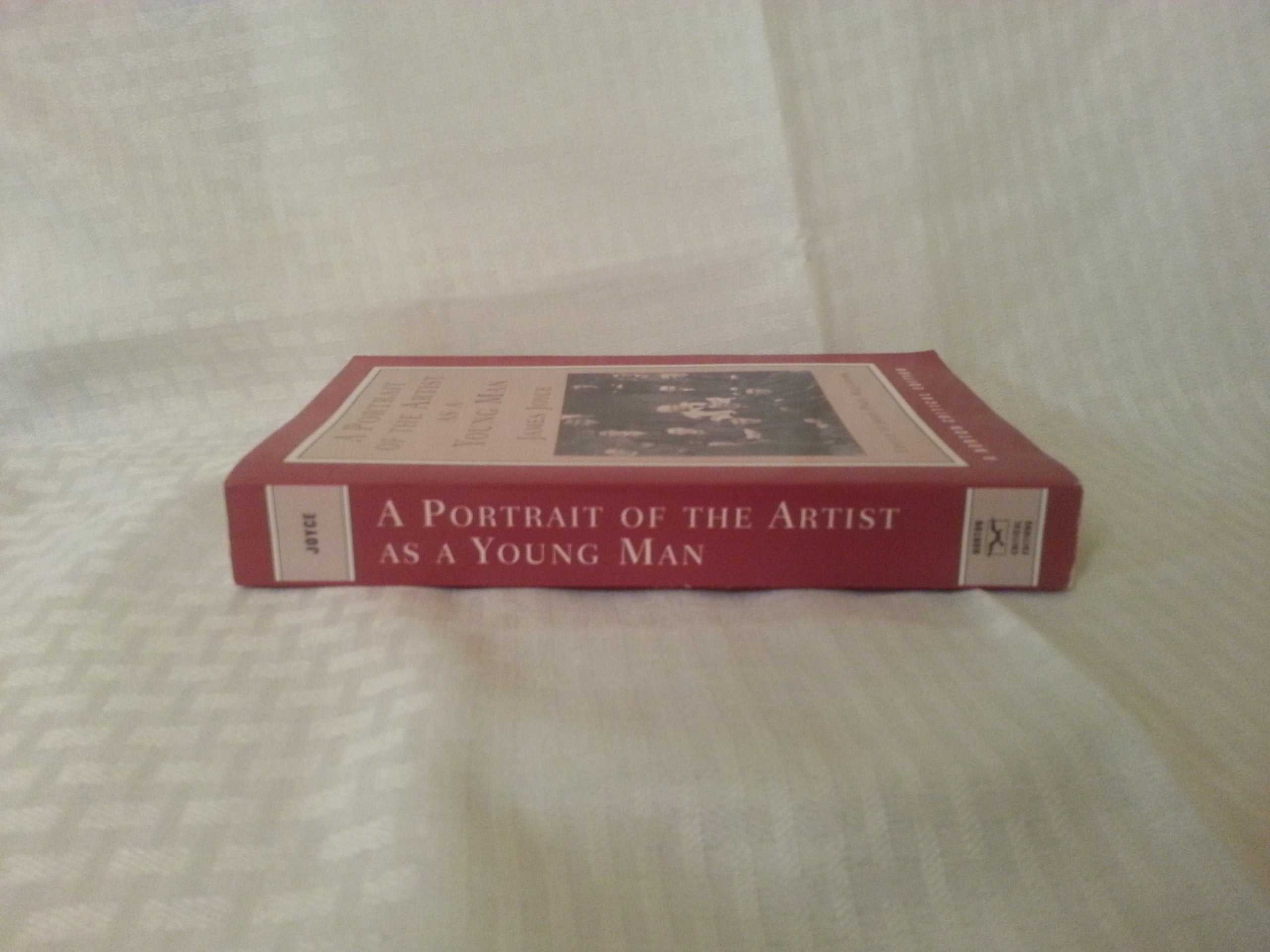 A Portrait Of The Artist As A Young Man (Norton Critical Editions)