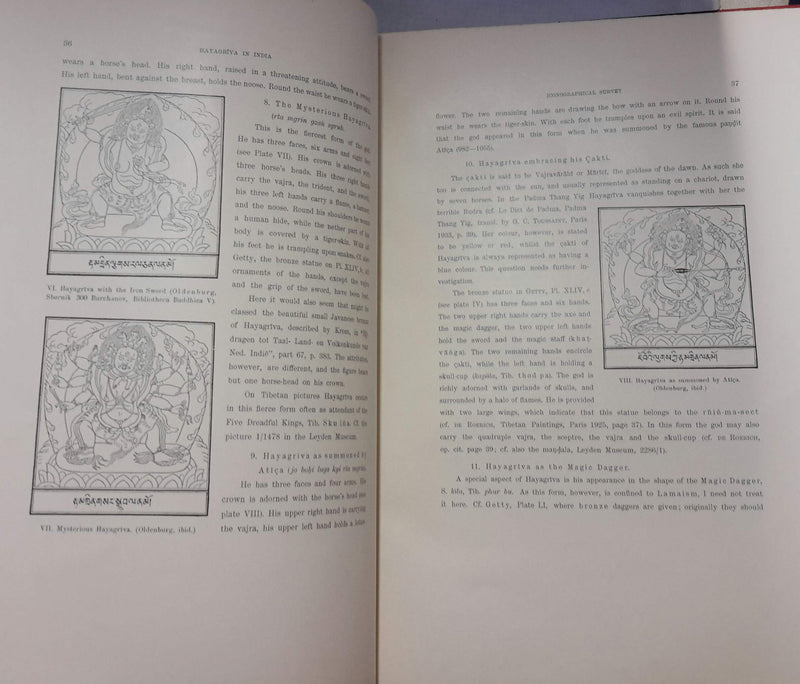 Hayagriva: Horse Culture in Asia hc SHORT DIS NR,Used