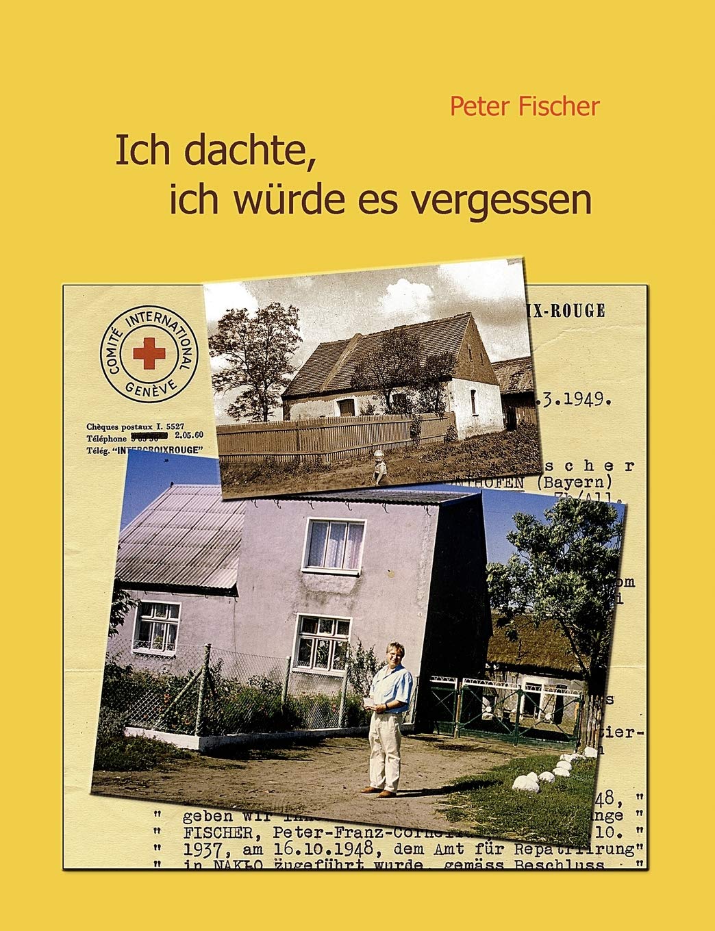 Ich dachte, ich wrde es vergessen (German Edition),Used