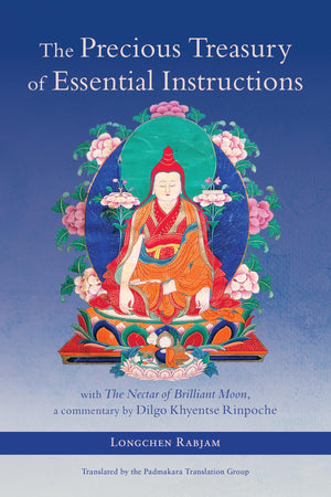 The Precious Treasury Of Essential Instructions: Explanations On The Treasury Of Essential Instructions Of Gyalwa Longchen Rabja