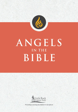 Angels In The Bible (Little Rock Scripture Study),Used