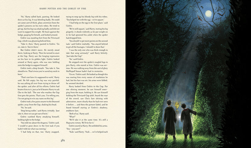 Harry Potter And The Goblet Of Fire: Illustrated Edition