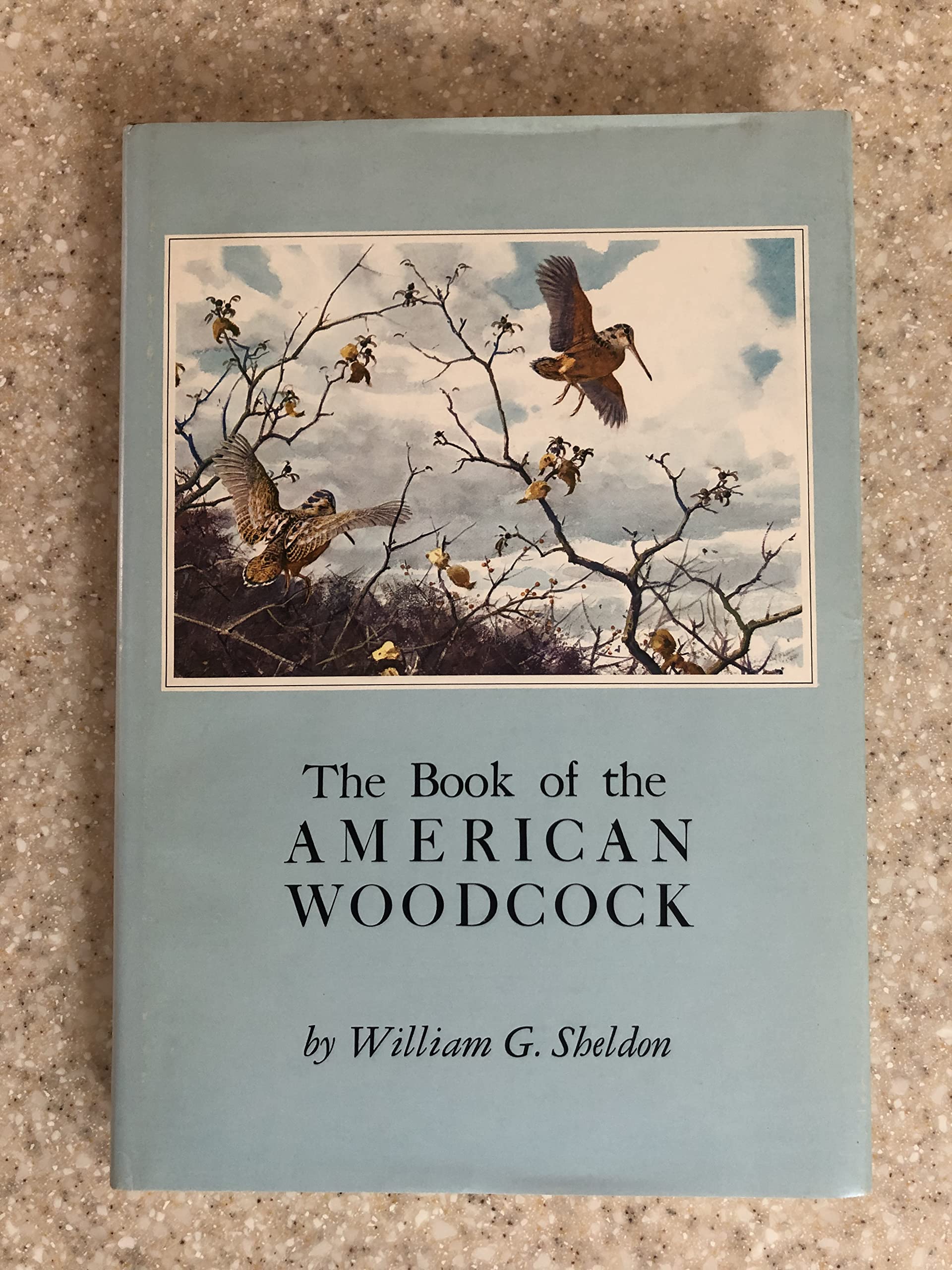 Book Of The American Woodcock