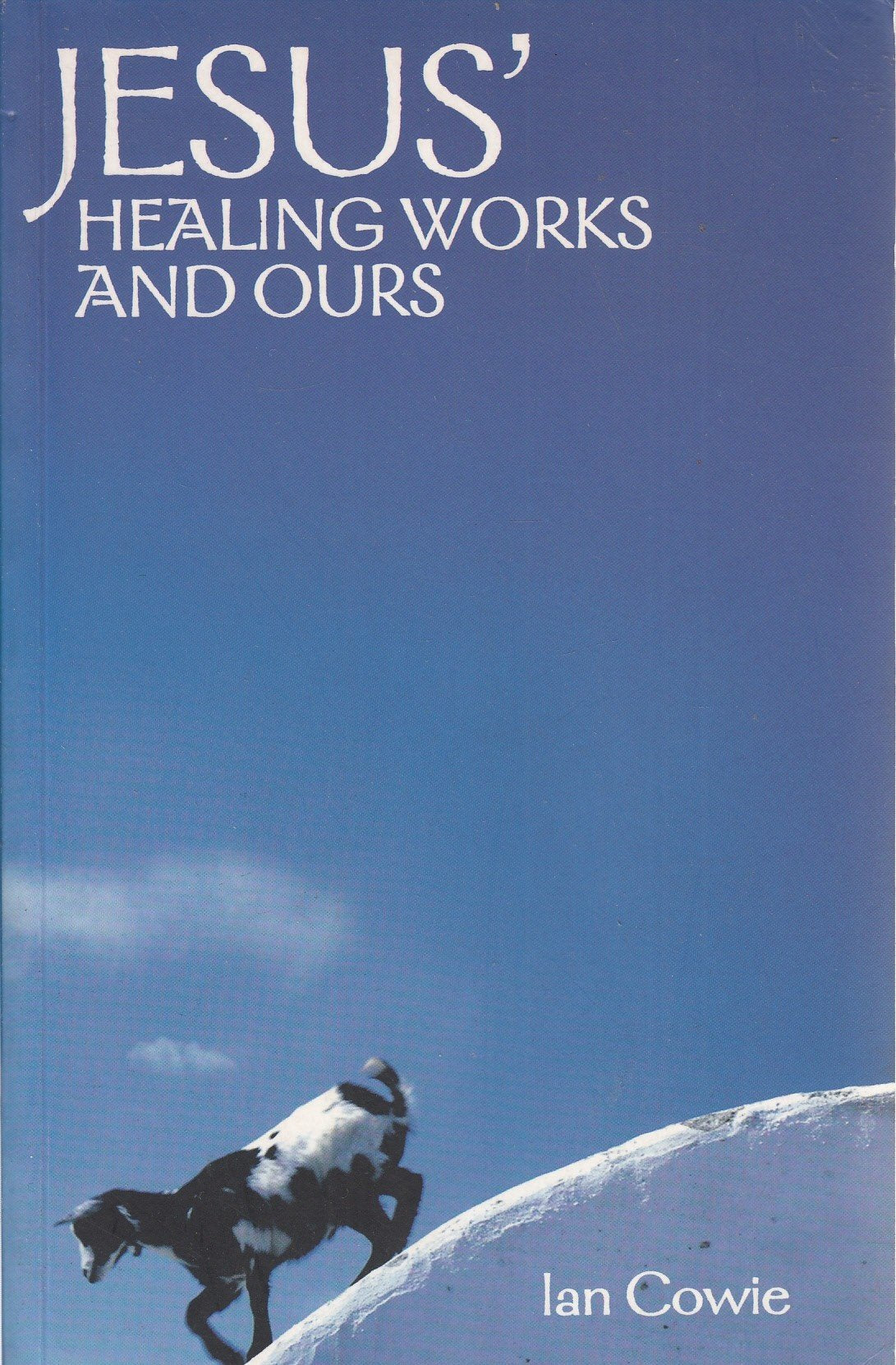 Jesus' Healing Works and Ours,Used