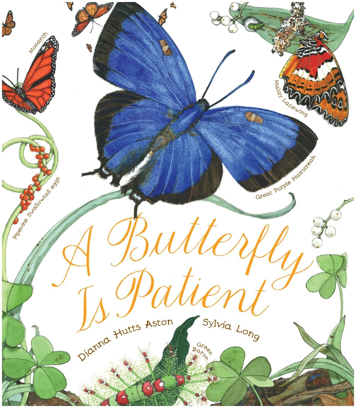 A Butterfly Is Patient (Sylvia Long),New